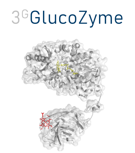 3gGlucoZyme