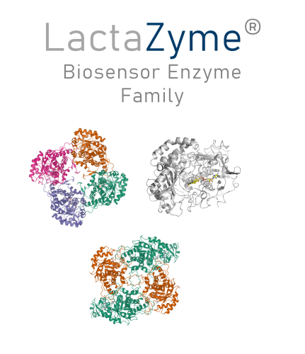 LactaZyme Biosensor Family